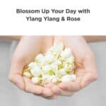 Ma:nyo Pure & Deep Cleansing Foam 100ml - imagine 6